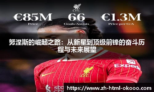 努涅斯的崛起之路:从新星到顶级前锋的奋斗历程与未来展望